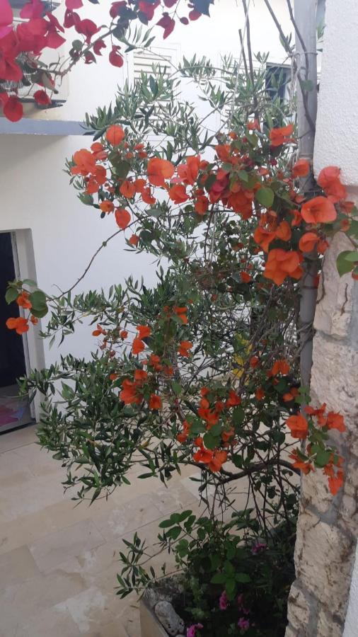 Hvar Deluxe Rooms Hvar Town Kültér fotó